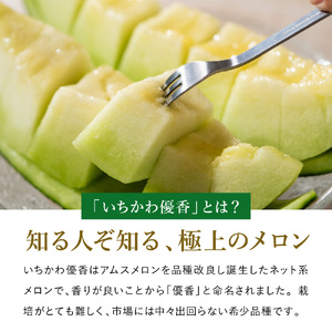 【年中発送！】感動メロン「いちかわ優香」1玉　010HS02N.　／ 果物 フルーツ メロン お取り寄せ 旬 水耕栽培