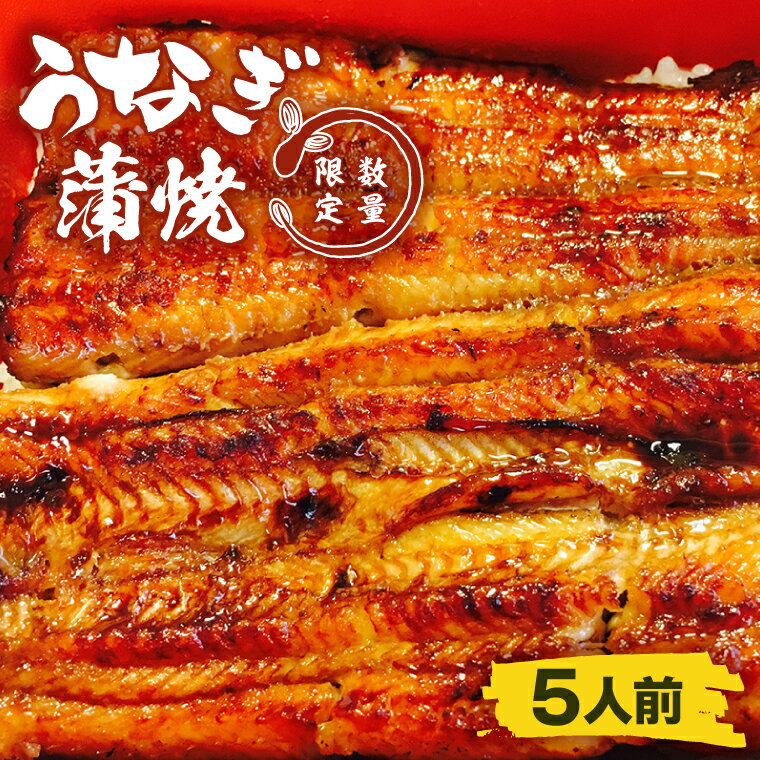 【ふるさと納税】蒲焼割烹 ぬりや うなぎ蒲焼（真空パック）5人前 鰻 ウナギ うなぎ 土用丑の日 土用 丑の日 かば焼き 蒲焼き 国産 うなぎ蒲焼 老舗 （GW-5）