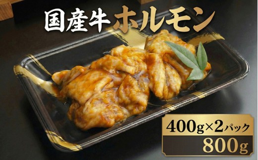 ホルモン 肉 国産 牛 800g 国産牛 味噌ダレ 味噌 味付け 焼肉 牛肉 焼きうどん 焼きそば 焼き そば うどん もつ煮 バーベキュー BBQ おかず 惣菜 煮込み 志摩 三重県 伊勢 10000円 10000 10000円以下 / 国産牛自家製味噌ホルモン 800g