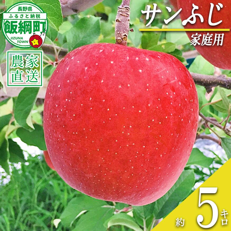 【ふるさと納税】 りんご サンふじ 家庭用 5kg 中村ファーム 沖縄県への配送不可 令和8年度収穫分 長野県 飯綱町 〔 信州 果物 フルーツ リンゴ 林檎 長野 16000円 予約 農家直送 〕発送時期：2026年11月下旬〜2027年3月上旬