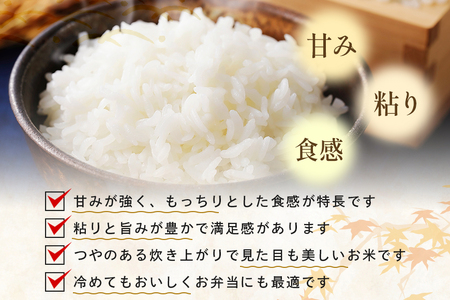 精米 2kg 真空パック A17-010