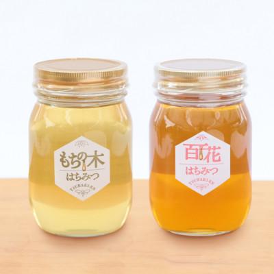ふるさと納税 稲沢市 もちの木はちみつと百花はちみつ　500g　各1本セット