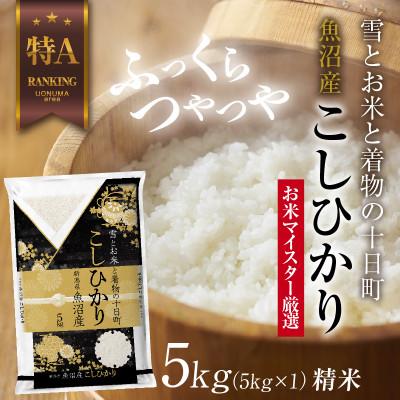ふるさと納税 十日町市 【令和6年産】 魚沼産 コシヒカリ 5kg 美味しい炊き方ガイド付き