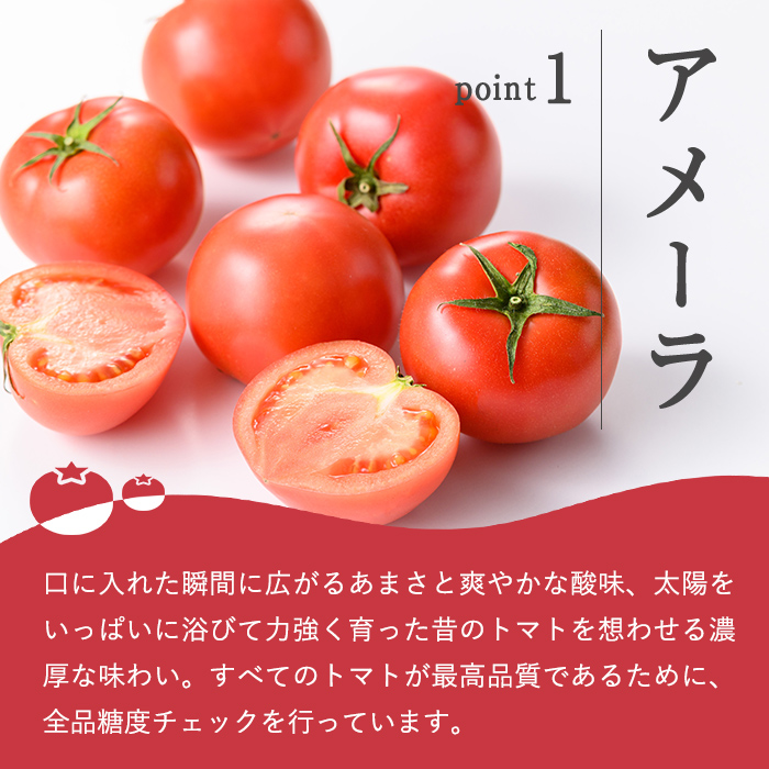 【先行予約】アメーラ＆ルビンズ5P ｜ トマト 野菜 国産