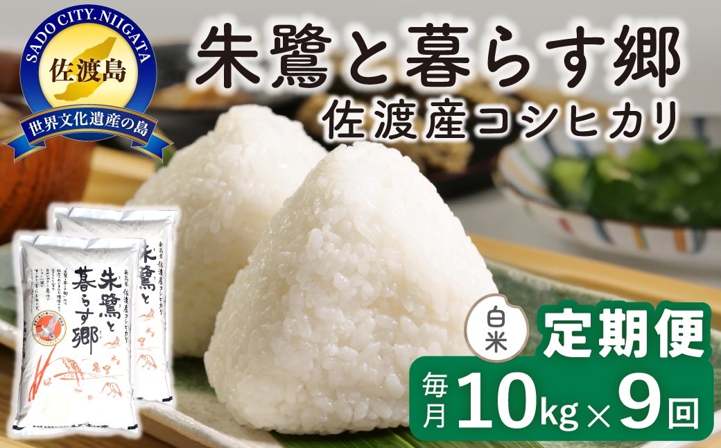 
                  【定期便 令和8年産新米 9か月】 佐渡島産コシヒカリ 白米 10kg 令和8年産新米 特別栽培米 | 新潟県産コシヒカリ 新潟産コシヒカリ 佐渡産コシヒカリ 新潟県産こしひかり 佐渡産こしひかり お米 米 こしひかり 白米 精米 おこめ コメ 10キロ にいがた さど 新潟県 佐渡市
                