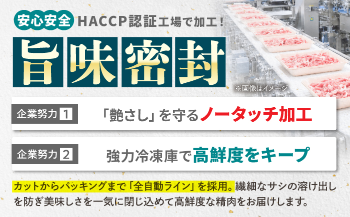 艶さし！ 佐賀牛 切り落とし 肩orバラ 計 1kg （ 500g ×2）  吉野ヶ里町 [FDB007]