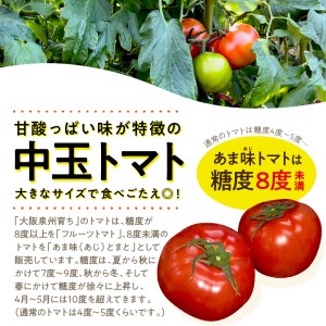 大阪泉州育ち あま味とまと 2kg 野菜 トマト 生鮮 フルーツトマト 夏野菜 食料品 水耕栽培 中玉 ふるさと納税 人気 新鮮【051D-009】