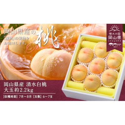 【2027年発送】岡山県産　清水白桃　約2.2kg(大玉6～7玉)【配送不可地域：離島】【1493188】