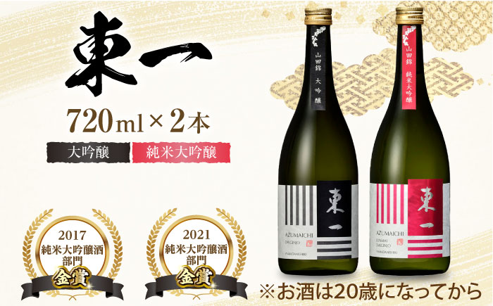 東一 大吟醸・純米大吟醸 セット 720ml×2本 / 日本酒 お酒 銘酒 地酒 / 佐賀県 / 有限会社嬉野酒店 [41AIAA001]
