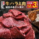 【ふるさと納税】＼定期便／ 牛肉 牛ハラミ タレ漬け 1.2kg 定期便 全3回 【毎月配送コース】