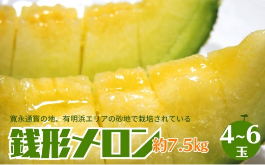 
            銭形メロン 4～6玉入り 約7.5kg ［アールスメロン］ 果物類 フルーツ 
          