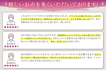 池田青果 厳選 シャインマスカット 1.2kg以上 2房～3房【2025年発送】（IS）B12-466【シャインマスカット 葡萄 ぶどう ブドウ 令和7年発送 期間限定 山梨県産 甲州市 フルーツ 果