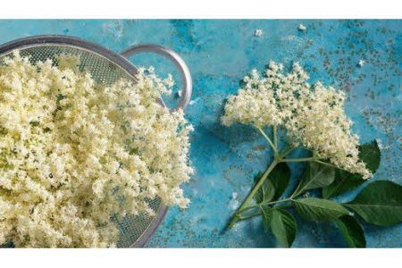 Kocomo’s エルダーフラワーフィズ 炭酸飲料 200ml×6本 _S122