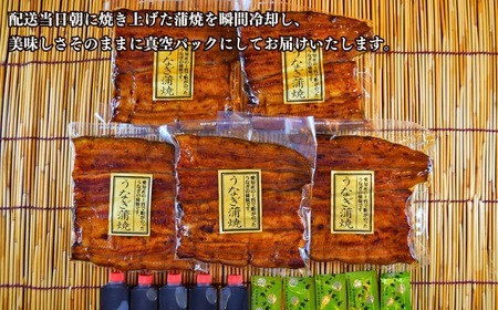 【安井家】国産鰻蒲焼　約120g×5パック