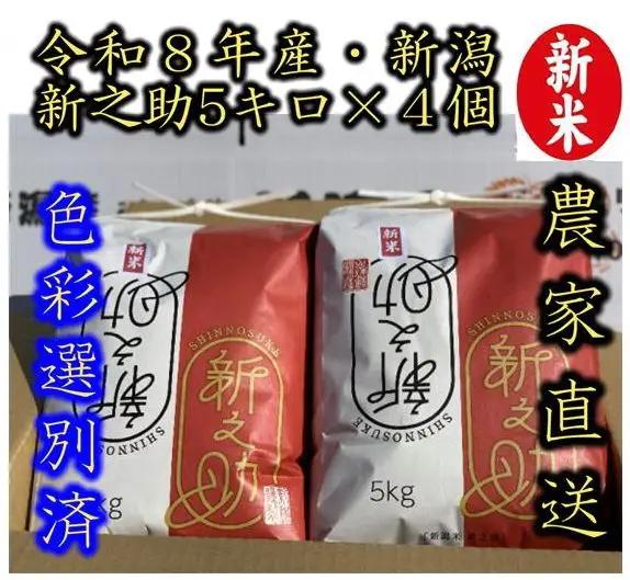【令和8年産新米】 新潟県産「新之助」 白米 20kg（5kg×4袋） 阿賀野市産 中島農場 精米 新潟県 米 こめ コメ お米 ごはん ご飯 農家直送 色彩選別済 新米 新米予約 令和8年産 9月下旬より順次発送 3R10062