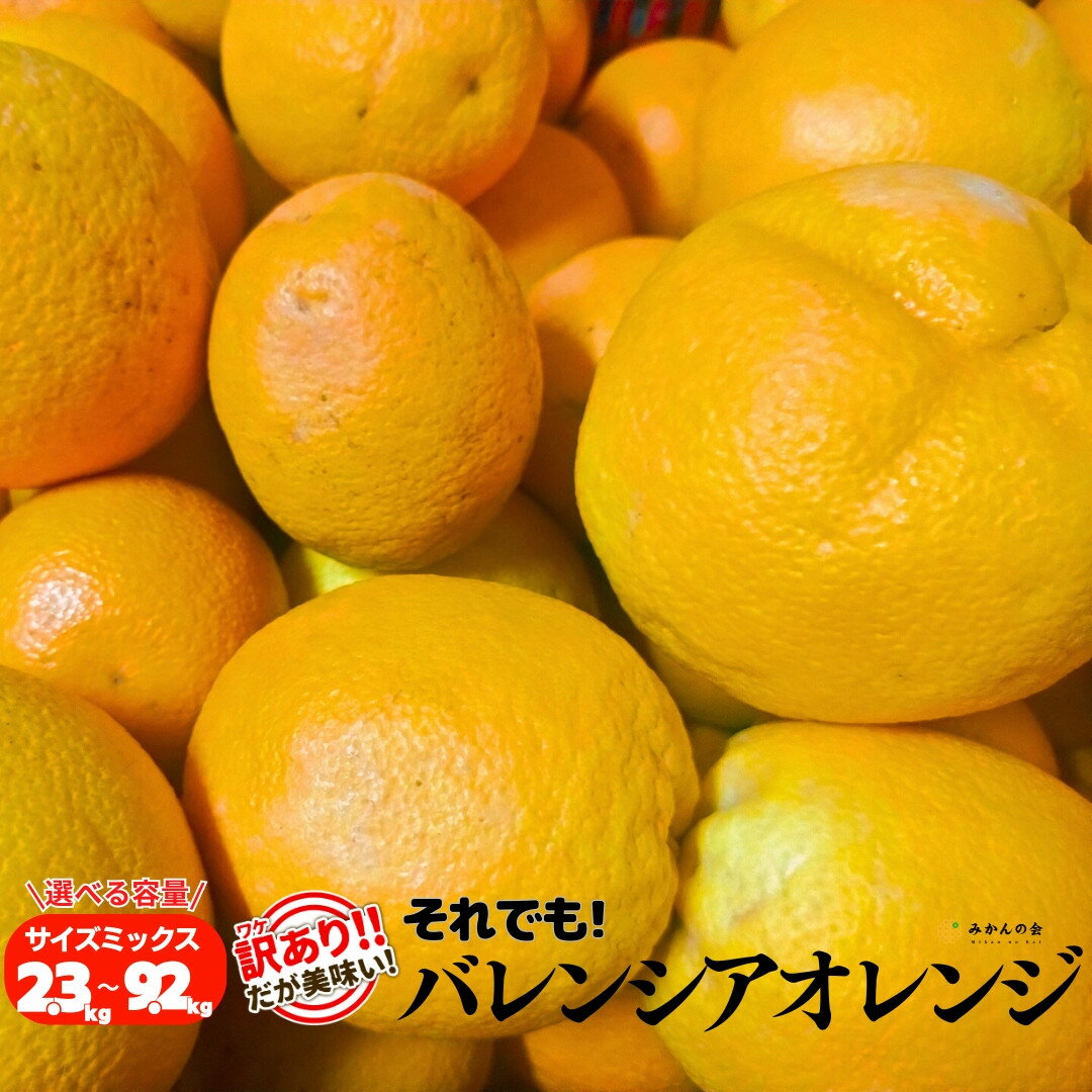 【ふるさと納税】【選べる容量】訳あり バレンシアオレンジ 国産 箱込 2.5kg～10kg (内容量 2.3～9.2kg ) サイズミックス 和歌山県産 産地直送 みかんの会 | バレンシア バレンシアオレンジ オレンジ 国産 夏柑橘 有田 和歌山