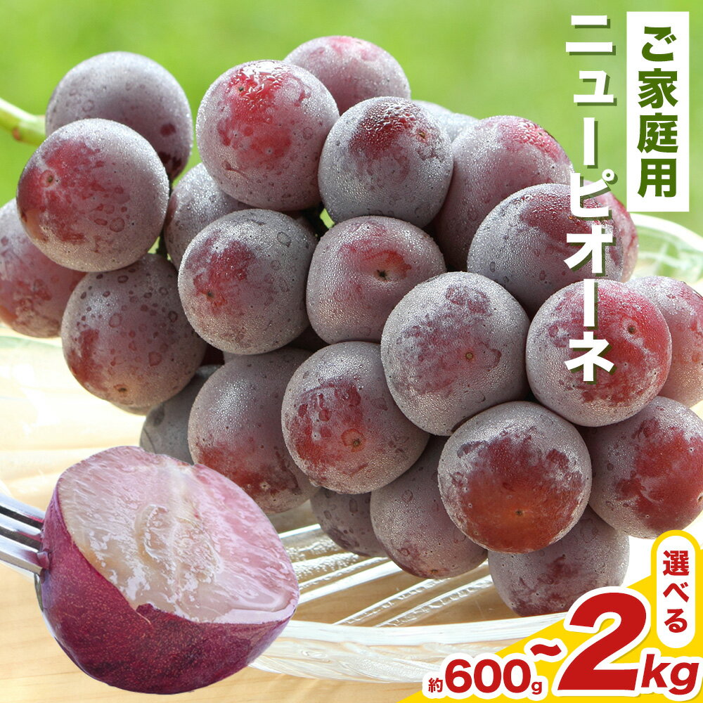 【ふるさと納税】 【2026年先行予約】岡山県産 ご家庭用 ニューピオーネ詰合せ 選べる 計600g～2kg 株式会社はちや《2026年8月下旬-9月下旬頃出荷》岡山県 浅口市 ぶどう 葡萄 フルーツ ギフト 果物 デザート 国産 送料無料【配送不可地域あり】