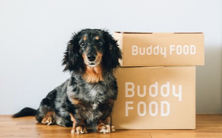 AS-2169 Buddy FOOD 03　豚もも×6パック 【バディフード】