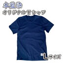 【ふるさと納税】 Tシャツ 国産 綿 100％ 本藍染 シャツ Lサイズ オリジナル