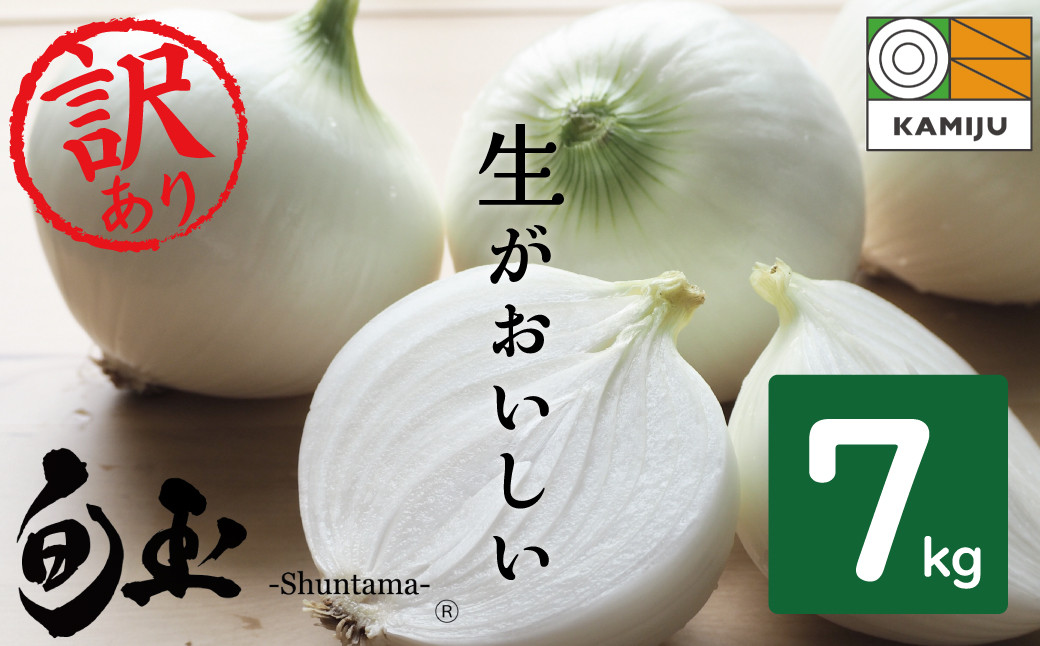 
            (2026年発送)訳あり 新玉ねぎ 生がおいしい 神重農産のブランド玉ねぎ「旬玉」7kg ブランド玉ねぎ 玉ねぎ 国産 愛知県産 野菜 やさい 農家直送 畑直送 旬 期間限定 たまねぎ 先行予約 旬 特産 高評価 高リピート 人気 H105-150
          