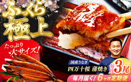 【6回定期便】 極上国産うなぎ四万十桜 蒲焼き3尾 たっぷり大サイズ / 国産 高知 四万十 うなぎ ウナギ 鰻 蒲焼き うな重 惣菜 贅沢 【有限会社もりた】[ATHE010]