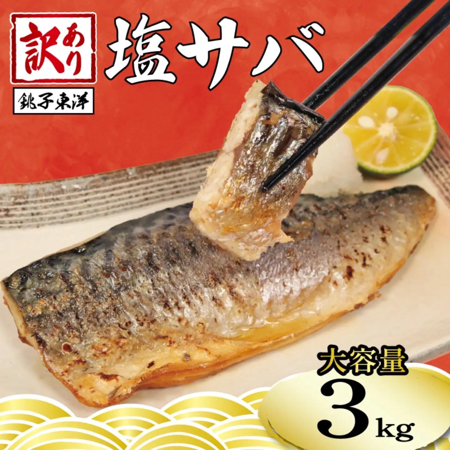 訳あり 塩鯖 3㎏ 鯖