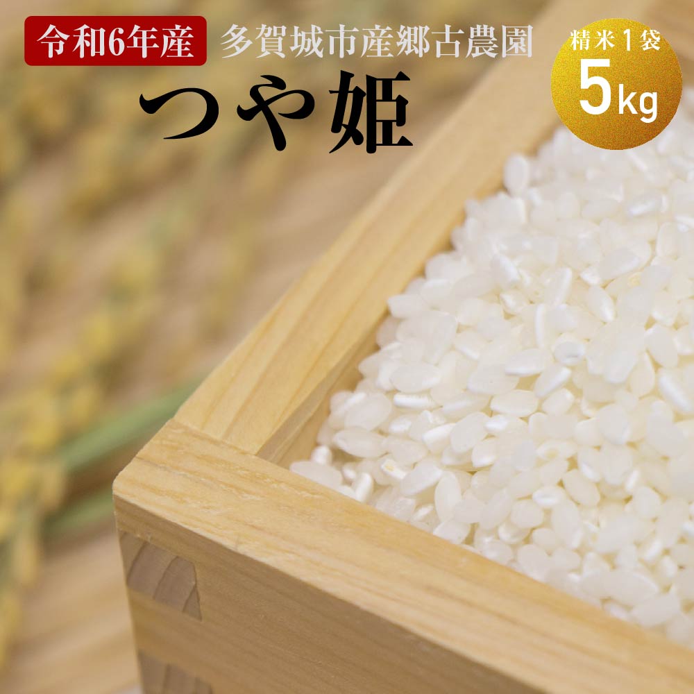 【ふるさと納税】【令和6年産】多賀城市産郷古農園つや姫　精米5kg（5kg×1袋）　【04209-0281】