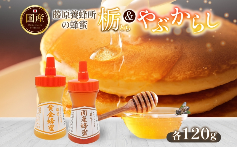
                  はちみつ 栃 やぶからし 各120g 計240g 藤原黄金蜂蜜 藤原国産蜂蜜 食べ比べ セット 国産はちみつ 天然 無添加 とち ヤブカラシ 単花蜜 朝しぼり 完熟 ハチミツ パン 菓子 トースト ホットケーキ ヨーグルト 調味料 隠し味 朝食 岩手県 盛岡市 東北 岩手 盛岡 藤原養蜂場
                