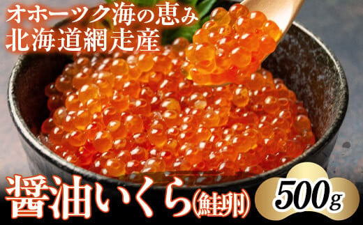 【2024年新物】北海道網走産醤油いくら（鮭卵）500g 【 ふるさと納税 人気 おすすめ ランキング いくら イクラ 醤油漬 醤油漬け いくら醤油 いくら醤油漬け イクラ醤油漬け いくら丼 イクラ丼 海鮮丼 寿司 500g 冷凍 網走産 オホーツク 北海道 網走市 送料無料 】 ABAE1007