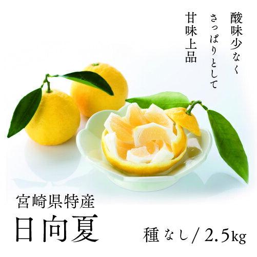 【ふるさと納税】先行予約 種なし「日向夏」 2.5kg / 日向夏 ひゅうがなつ 柑橘 柑橘類 果物 フルーツ 贈答 ギフト みかん 蜜柑 ニューサマーオレンジ 小夏 宮崎県産 ふるさと納税 送料無料