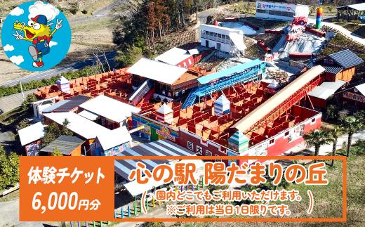 「心の駅　陽だまりの丘」 巨大迷路 ドラゴンメイズで使えるチケット 6000円分 【島根県 雲南市 ふるさと納税限定 めいろ メイロ イベント 子連れ ファミリー 観光 体験 遊び レジャー テーマパーク 旅行券 利用券 スタンプラリー ひまわり迷路 椿 桜 花桃 つつじ しょうぶ アジサイ スイレン 芙蓉 彼岸花 もみじ】