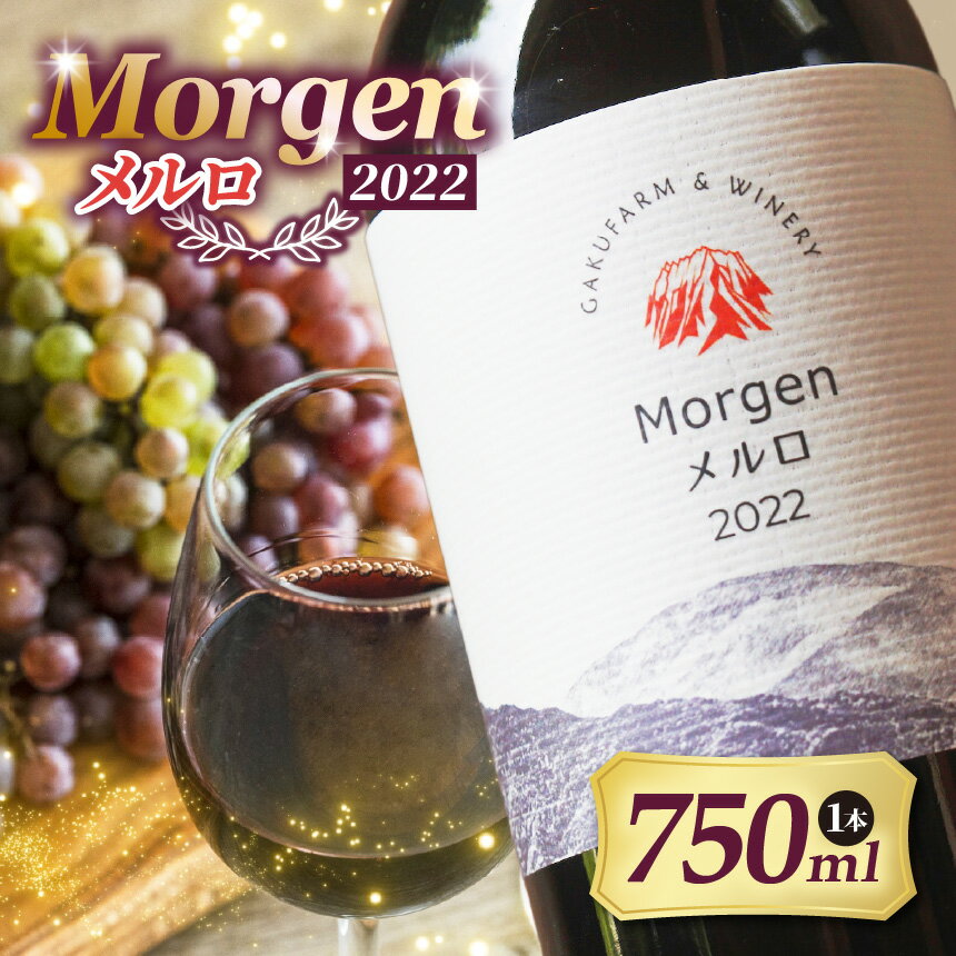 【ふるさと納税】Morgenメルロ2022｜ワイン 信州 赤ワイン ぶどう 長野県 松本市 希少価値 わいん 酒 おさけ さけ メルロ