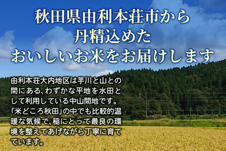 【白米】 あきたこまち 令和5年産 秋田県産 五平農園のあきたこまち 10kg