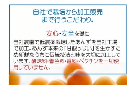 セミドライ 極撰 究極な半生杏子（100g×2袋） | あんず アンズ 杏子 ドライフルーツ