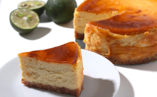 土佐フロマージュ ホールケーキ 16cm 国産 冷凍 NYチーズ チーズケーキ ケーキ 洋菓子 菓子 デザート ミレービスケット ミレー ぶしゅかん 米粉 おもてなし 高知 南国 四万十 しまんと お