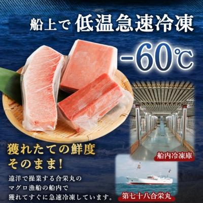 ふるさと納税 室戸市 厳選天然マグロ3種セット(南鮪・目鉢鮪・びんちょう鮪) |  | 03