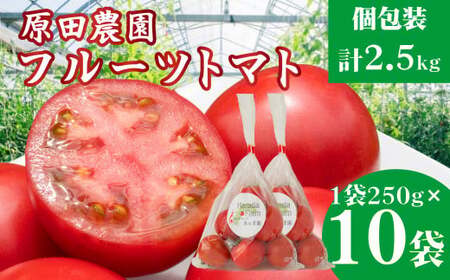 【2025年12月下旬～順次発送】＜秀品 A品 フルーツトマト 原田農園 約2.5kg 個包装 1袋250g×10袋＞ 桃太郎 高知県 佐川町　