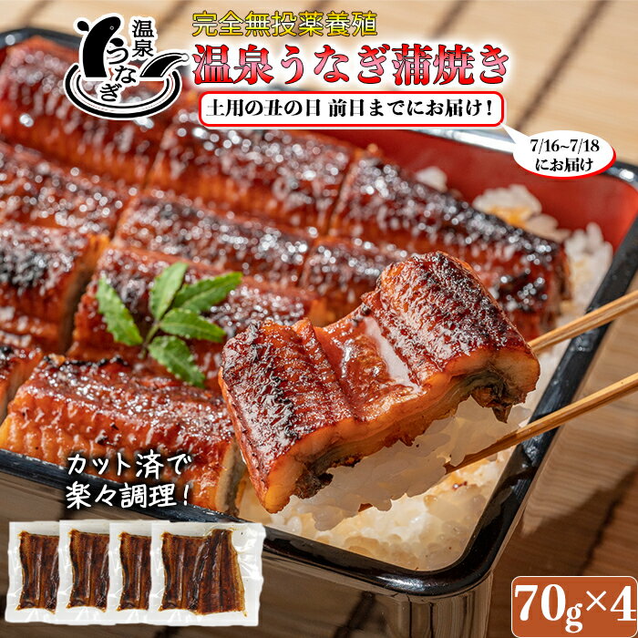 【ふるさと納税】【まだ間に合う 土用の丑 7/24(水)までにお届け 】 完全無投薬養殖 国産 温泉うなぎ蒲焼 (カット) 70g×4＜104-059_5＞