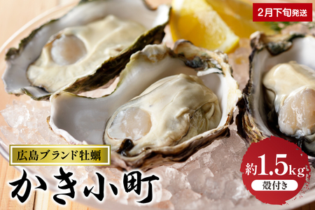 【2025年2月下旬発送】丸十水産 広島ブランド牡蠣 殻付き かき小町 約1.5kg  (8～10個) 先行予約 生食可能 生食用 冷蔵便 国産 生牡蠣 音戸産 牡蠣 カキ 旨味 濃厚 新鮮 美味しい 秋 旬 広島県 呉市