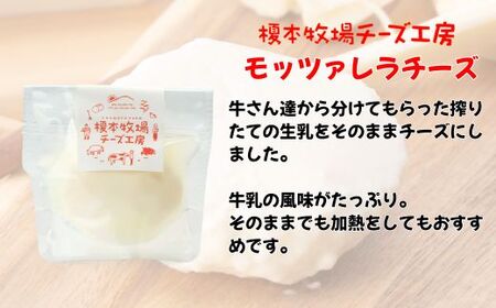 モッツァレラチーズ 200g (100g×2)【榎本牧場チーズ工房】