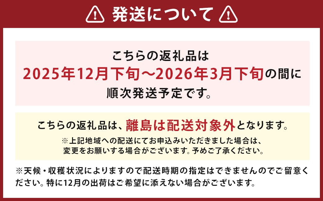 いちご「かおり野」プレミアム 約2.4kg＜300g×4パック＞2箱 計8パック