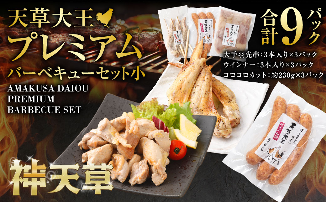 天草大王プレミアムバーベキューセット（小） 計9パック 天草大王 焼鳥 手羽先 串 ウインナー コロコロカット