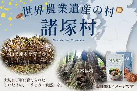 NABAカレー バターチキンカレー＆ハンバーグアンチョビソース掛け セット 2種各2食 計4食 常温｜レトルトカレー カレーライス なば しいたけ 椎茸 ハンバーグ アンチョビ レトルト 簡単調理 常