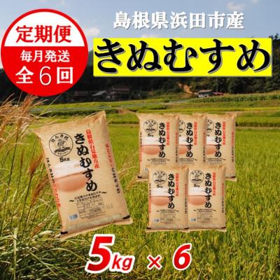 ふるさと納税 浜田市 【毎月定期便】きぬむすめ5kg(6回)合計30kg全6回