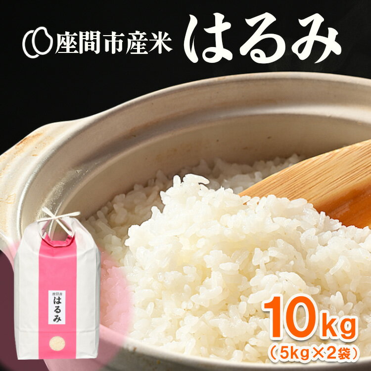 【ふるさと納税】座間市産米 はるみ 10kg(5kg×2袋) ※離島への配送不可 ※2025年10月上旬頃より順次発送予定
