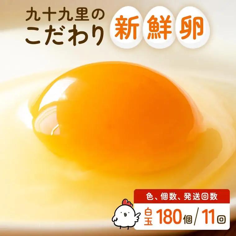 【定期便11回】九十九里ファームこだわりたまご贈答用 180個 ～あおい海・みどりの里～《白玉》 たまご 卵 玉子 タマゴ 白玉 卵かけご飯 新鮮 旨み 甘み 贈答用 贈答 ギフト 贈り物 千葉県 匝瑳市