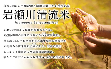 ＜令和7年産 岩瀬川清流米 コシヒカリ 3kg＞ 3キロ こしひかり お米 コメ こめ 白米 精米 ご飯 穀物 鮮度 特産品 愛媛県産 西予市産 宇和町産 OTSUKAFARM 愛媛県 西予市 【常温