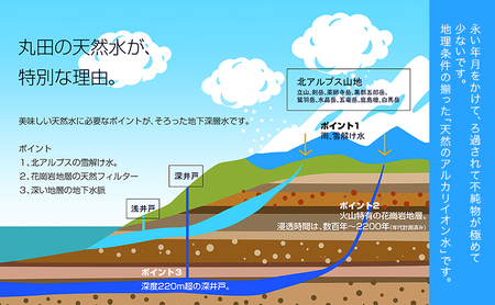 水 【20パック】宝石の水　1L×20パック/非常用 備蓄用 常温 常温保存 備蓄水/北陸/丸田工業株式会社/富山県黒部市 飲料 飲料水 飲料類 ミネラルウォーター 