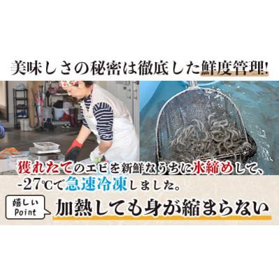ふるさと納税 鹿島市 佐賀県産　天然芝エビむき身　1kg |  | 03