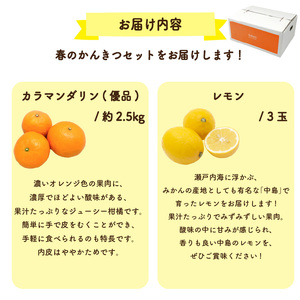 【先行予約】カラマンダリン (優品) 約2.5kg & 瀬戸内海の島レモン 3玉 セット | みかんみかんみかんみかんみかん 【KK319】